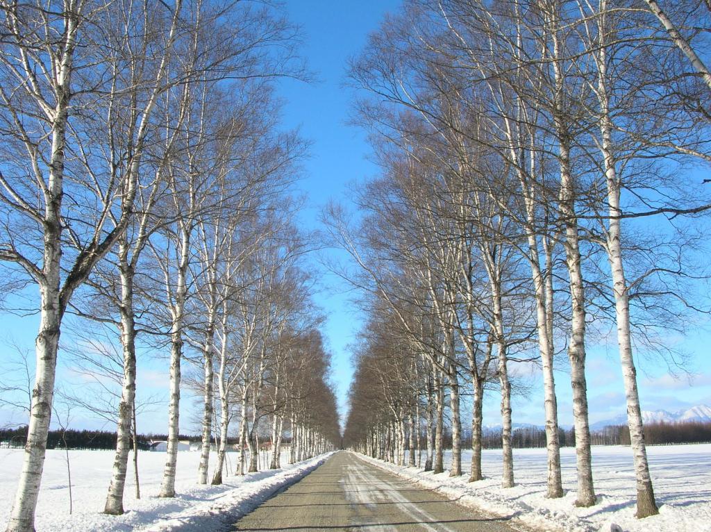 Blog: S pisateljem je pač tako...