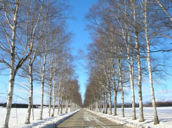 Blog: S pisateljem je pač tako...