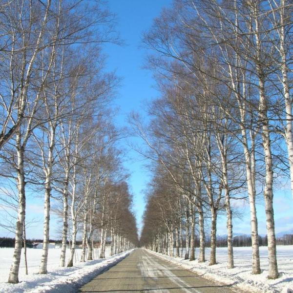 Blog: S pisateljem je pač tako...