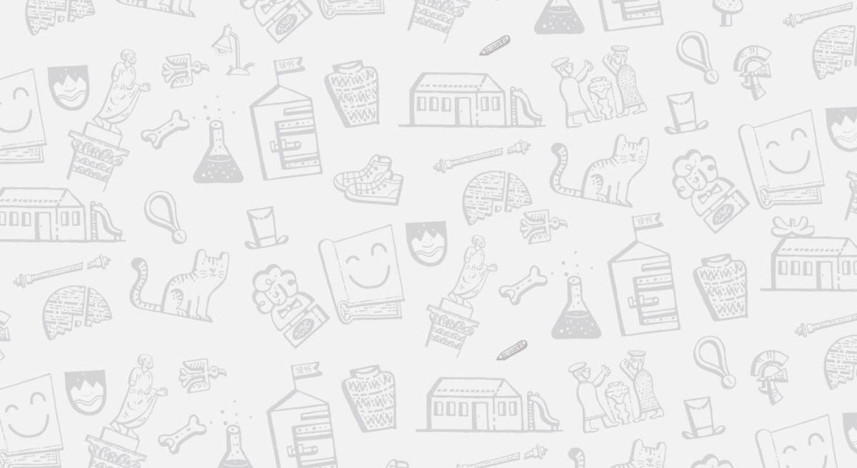 Intervju z avstralsko pisateljico, pesnico in režiserko Krissy Kneen