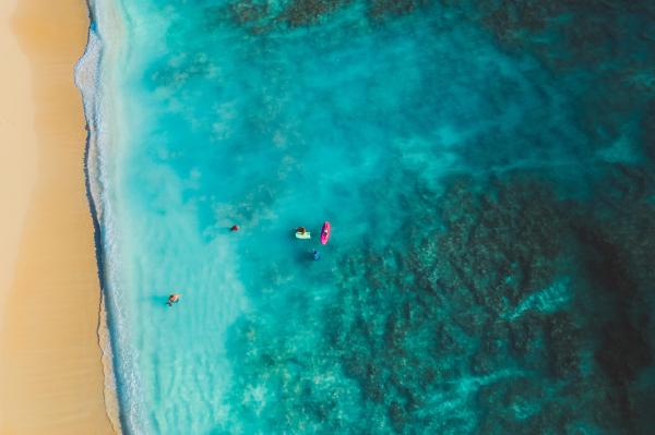 Kje in kako beremo poleti