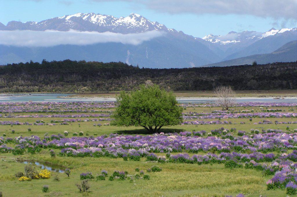 Blog: Na koncu sveta