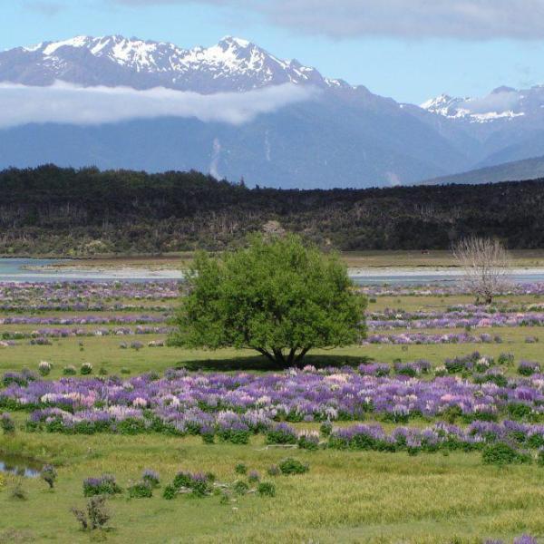 Blog: Na koncu sveta