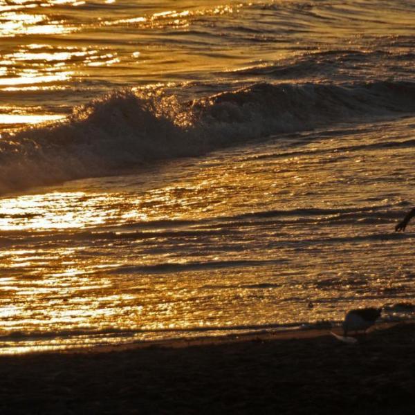 Blog: Otrok in ločitev staršev