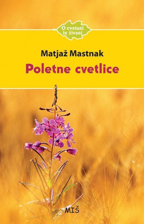 Poletne cvetice