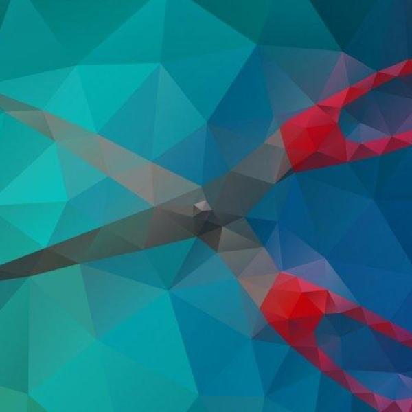 Blog: Za katere škarje se zahvaljujemo?