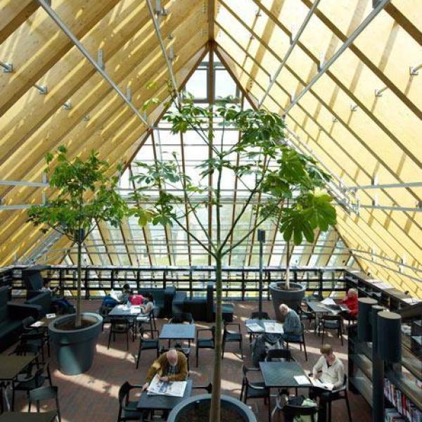 Nizozemska gora knjig